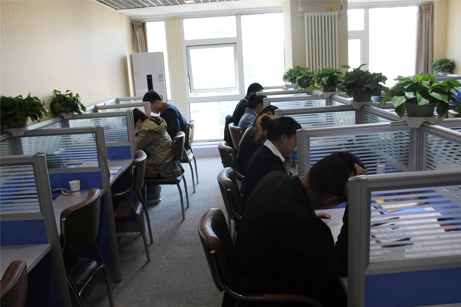 1579249716255681.jpg d01.jpg