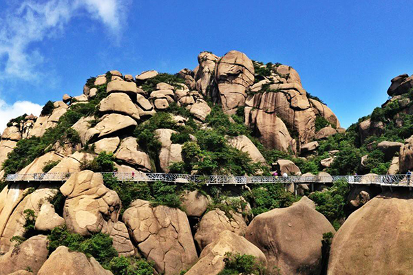 1580222423443479.jpg 1522718307470509.jpg